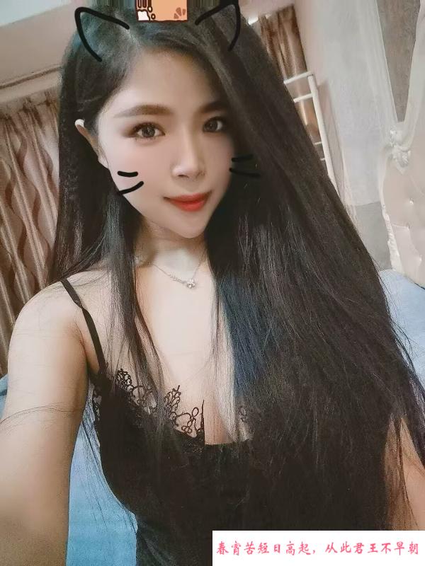 小小小鸡鸭 第1张