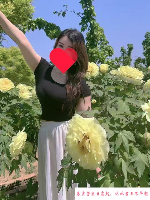 包河气质大胸少妇 第1张