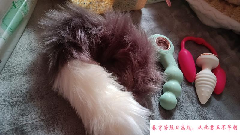 沈阳蝴蝶B 第1张