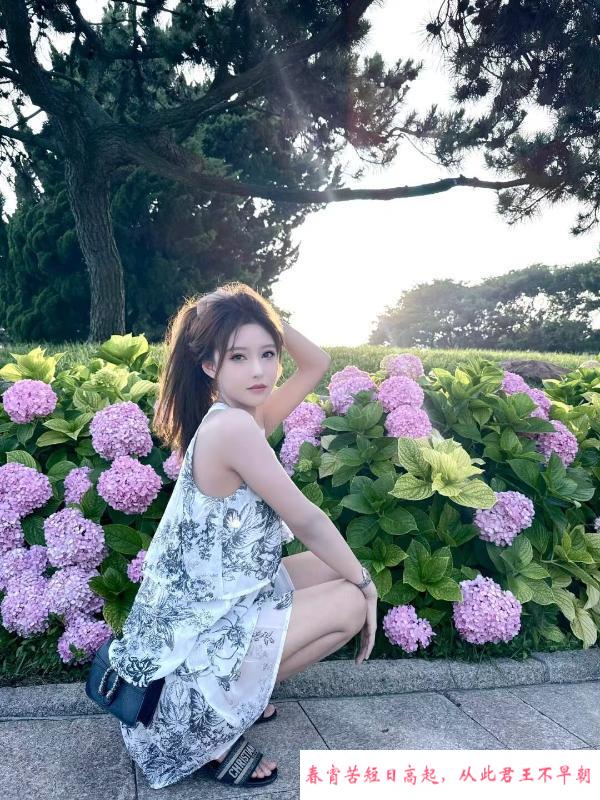 张家大小姐 第3张