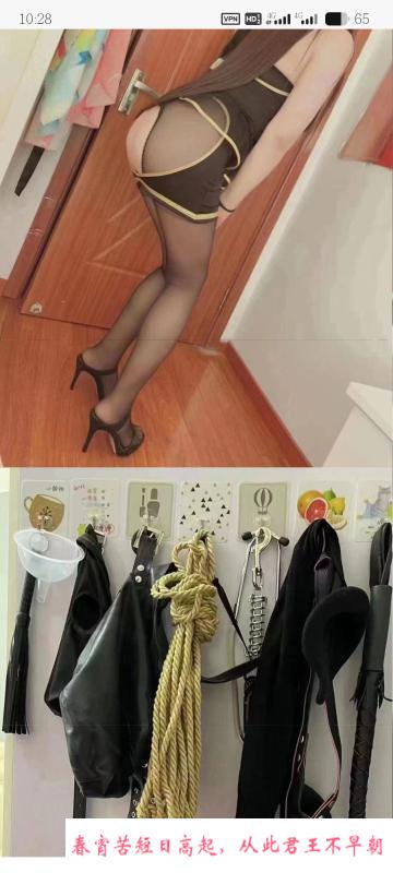 毒龙女王 第1张