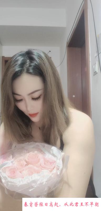 铁西少妇 第1张