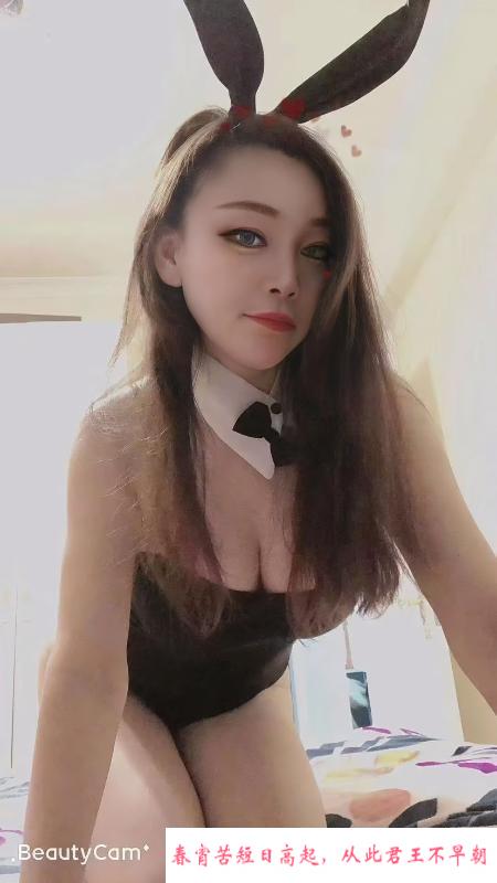 宝安大白奶小肥猫 第3张