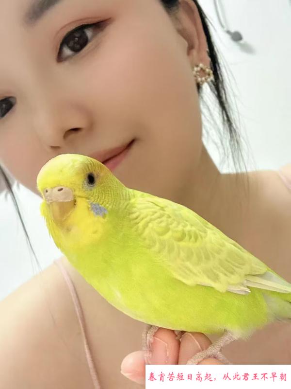 江岸个人半套小姐姐 第1张