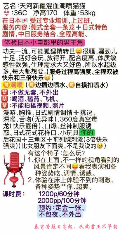 天河新疆混血潮喷猫猫 第1张