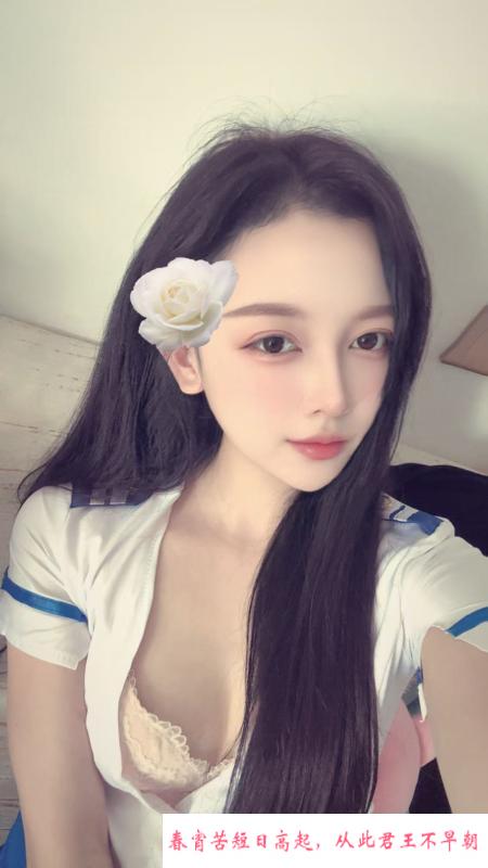 虎丘小不点 第1张