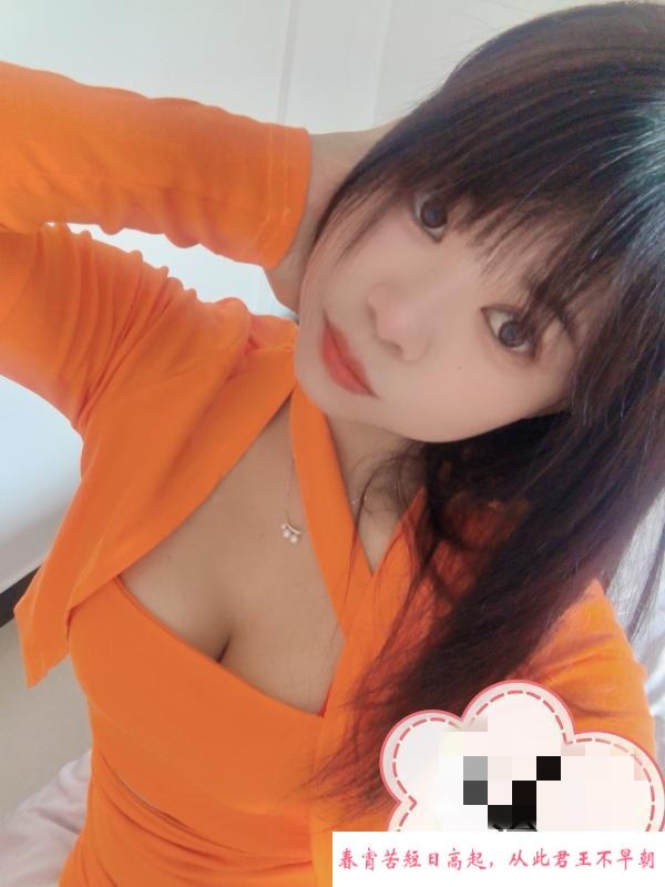 树木林小狐狸 第1张
