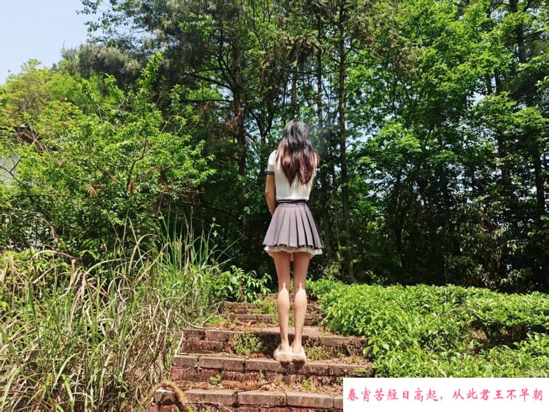 小月亮老师 第2张