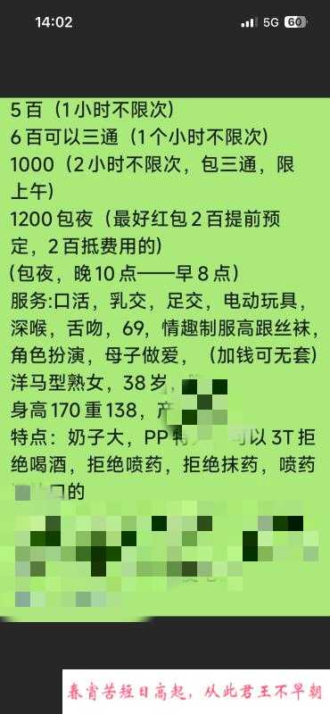 洋马少妇 第1张