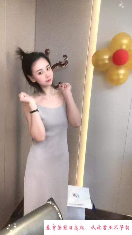 蒙族长腿炮架 第1张