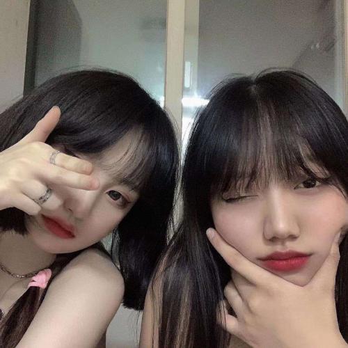 双飞姐妹花 第1张