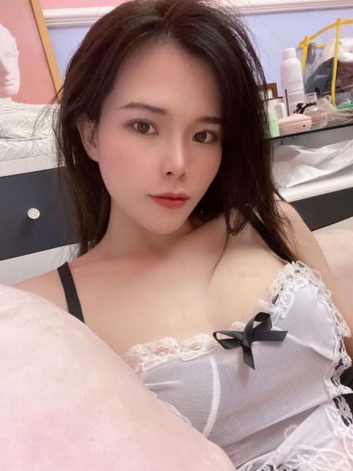 福田清新的小猫 第3张