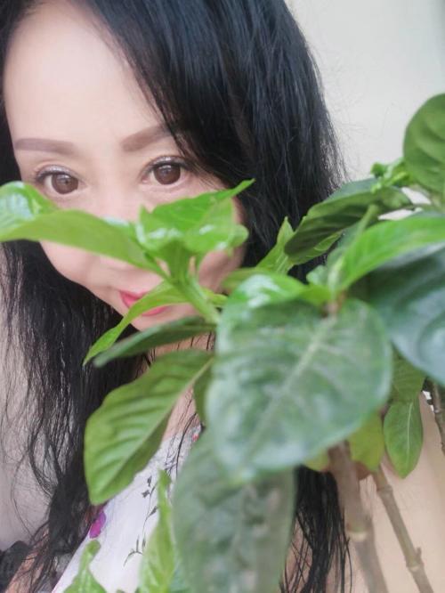 布吉花花 第2张