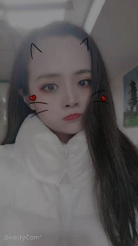 郑州郑州 第1张