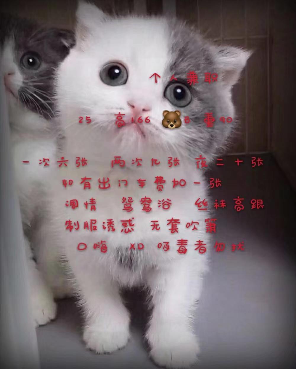 体验苗条型长沙菇凉 第1张