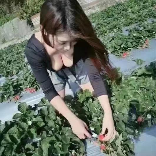 中山张家边 第1张