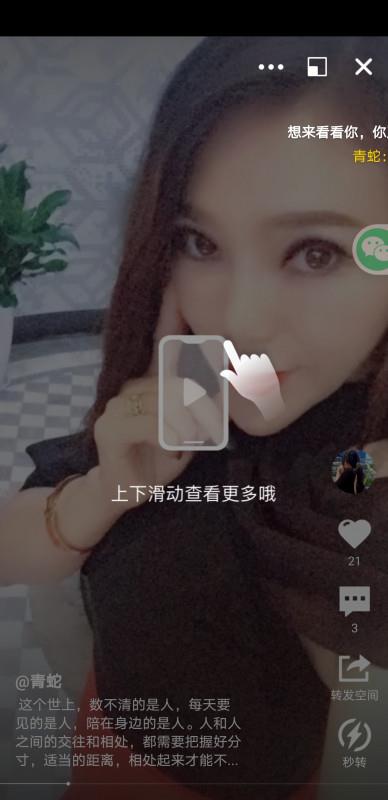 拱墅区名凤青蛇 第2张