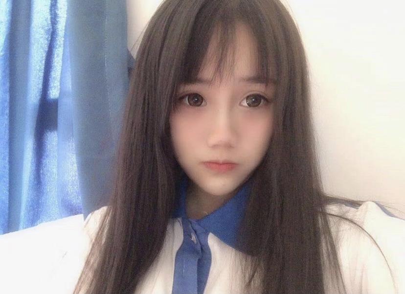 会缩的小绵羊 第1张