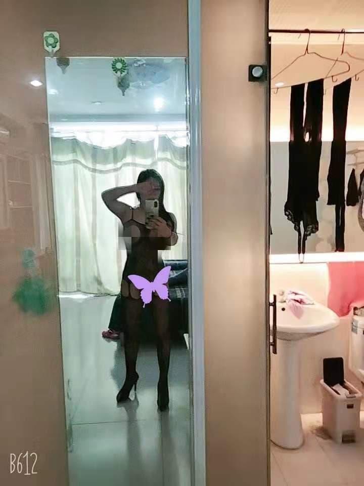 验证倾城白玫 第1张