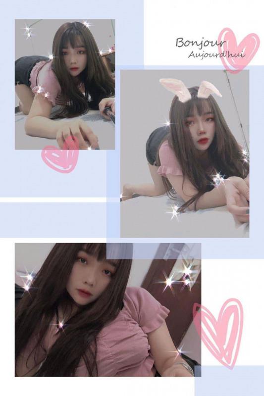广州小燕子 第1张