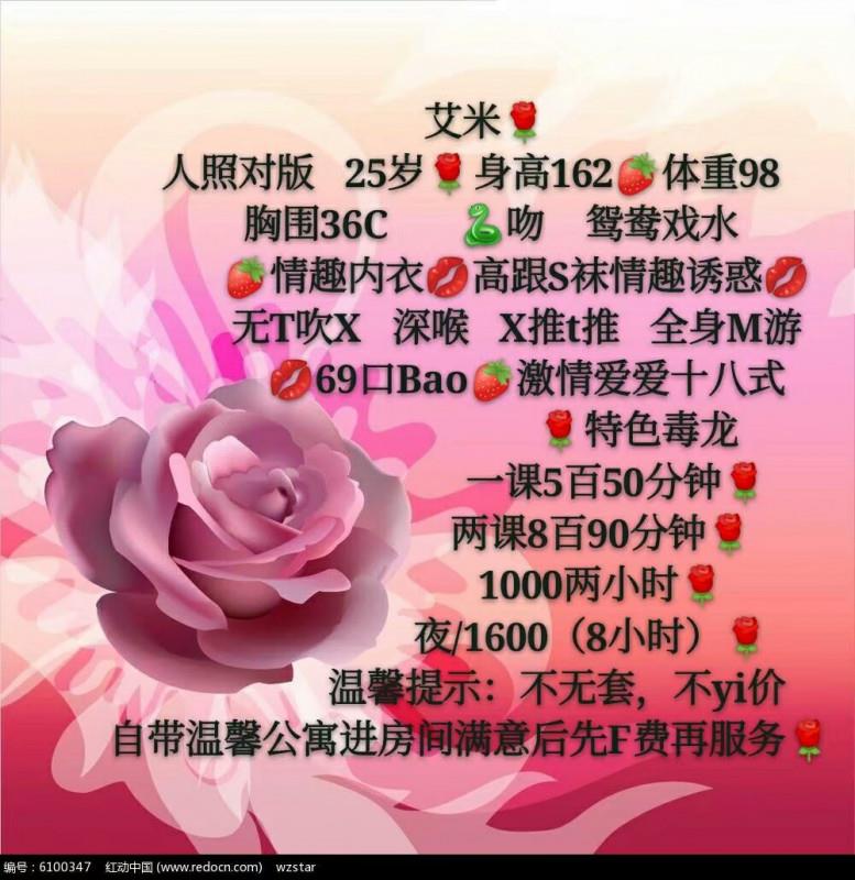 达美艾米 第2张