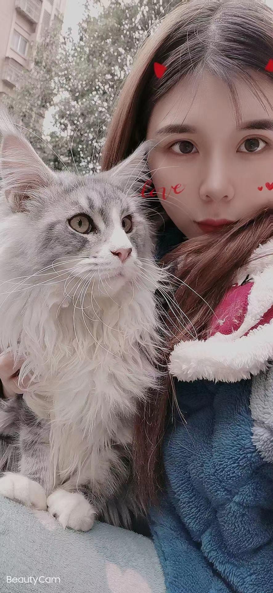 服务系年轻妹子 第4张