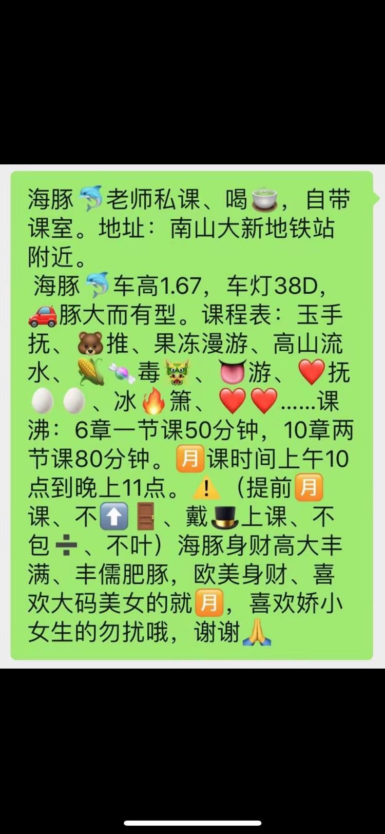 南山大海豚终于归来 第3张