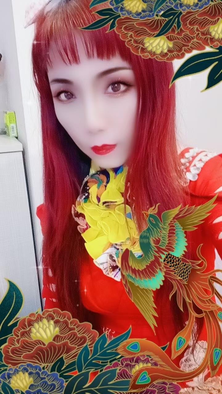 凤凰熟女 第1张