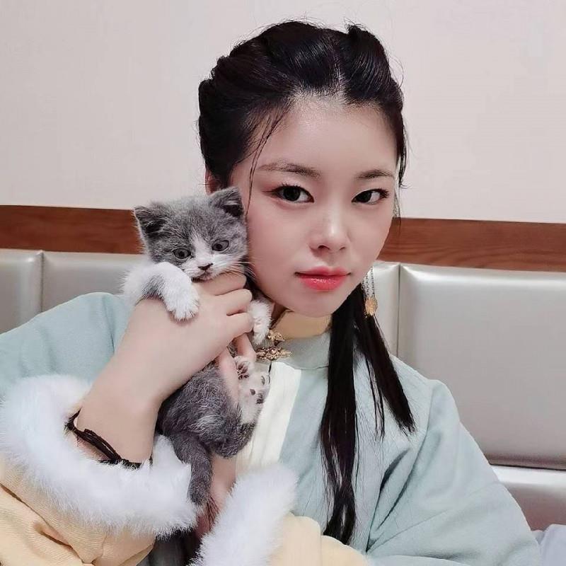 西安小白兔 第1张