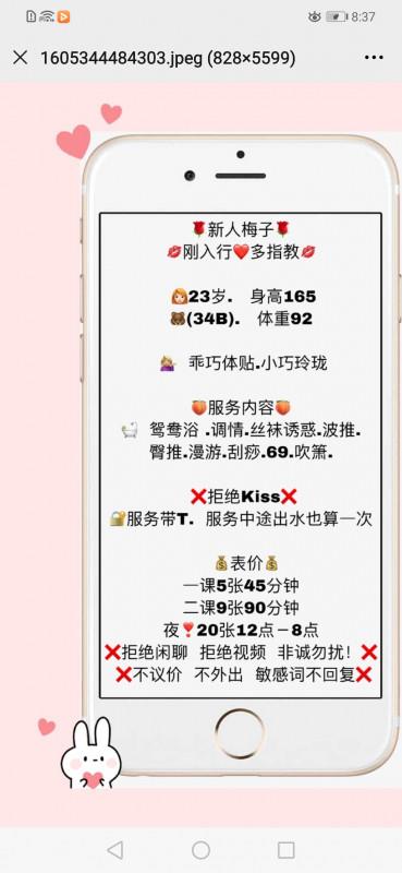 龙华上塘的梅子 第2张