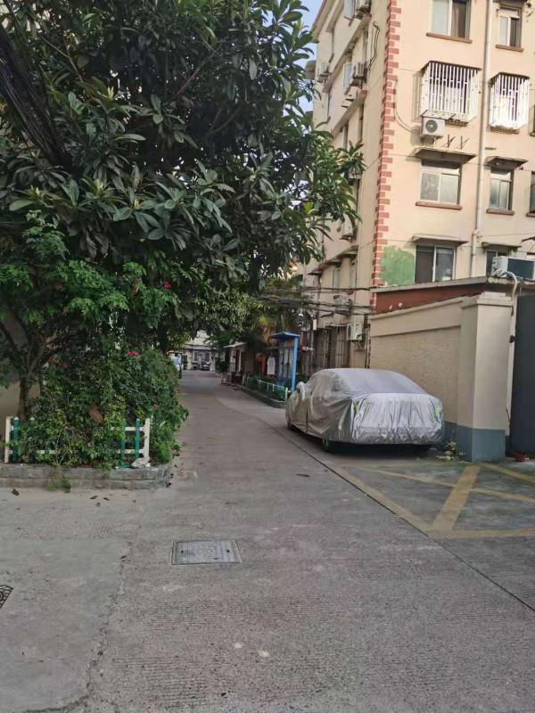 体验徐汇年轻妹子肛交晨晨 第4张