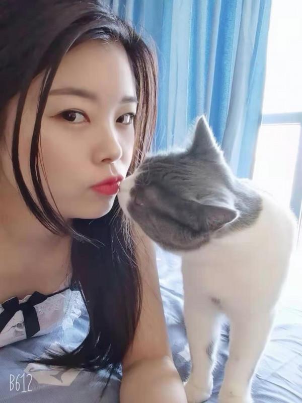 小白兔 第1张