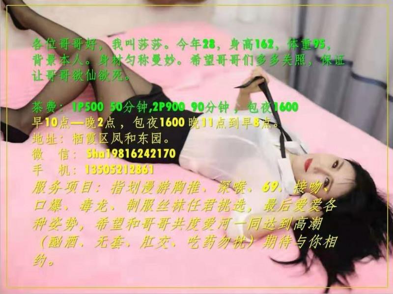 凤和东园莎莎 第2张
