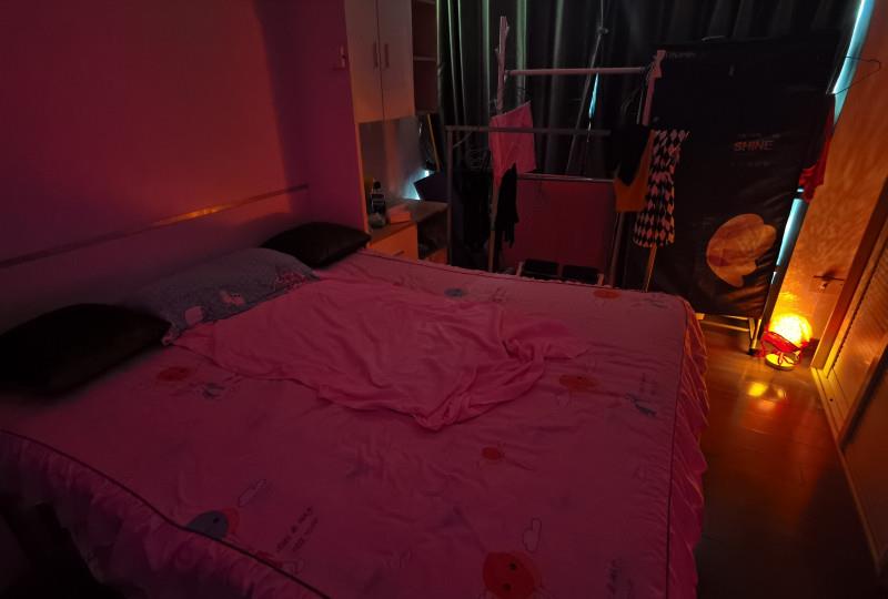 越秀广东熟女苏玲 第3张