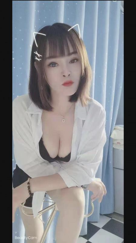 宝安小猫咪 第1张