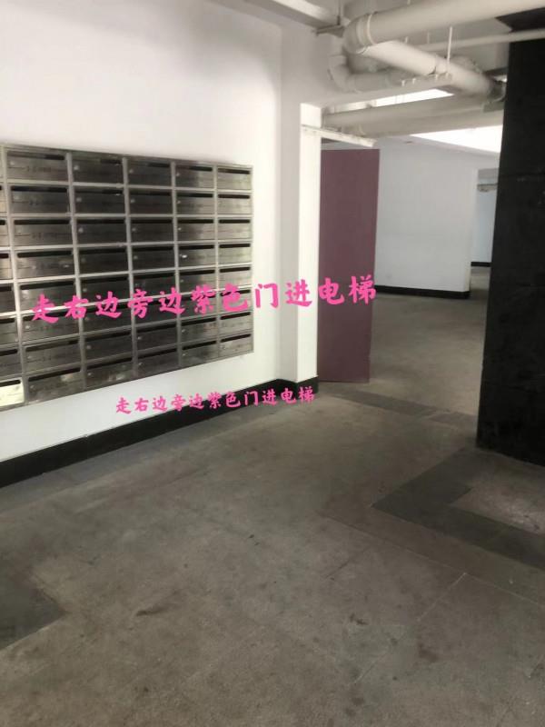 萧山大奶妹 第3张