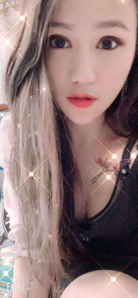 中山小绵羊 第1张