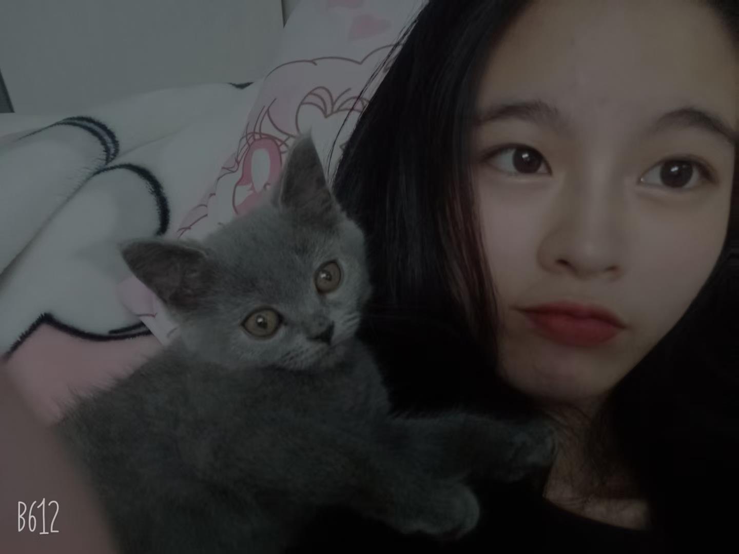 罗湖环保贝儿 第3张