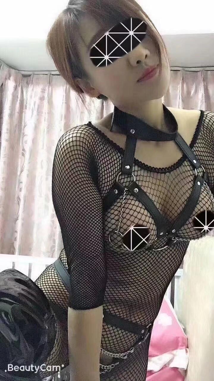 梅花园小姐 第1张