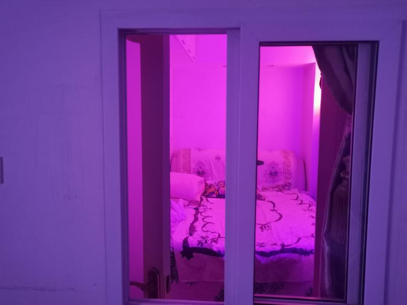 金贞子沈阳性价比 第3张