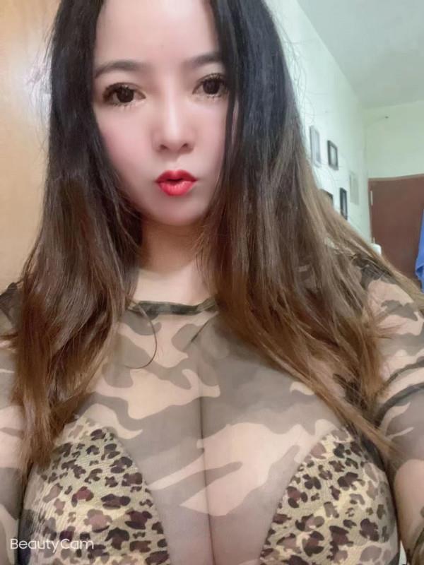 罗湖奶牛 第1张