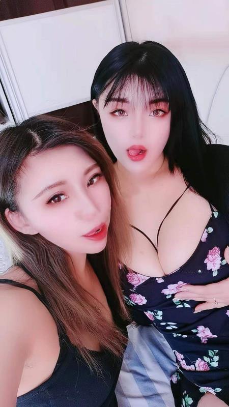 丰台性价比双飞LF 第1张