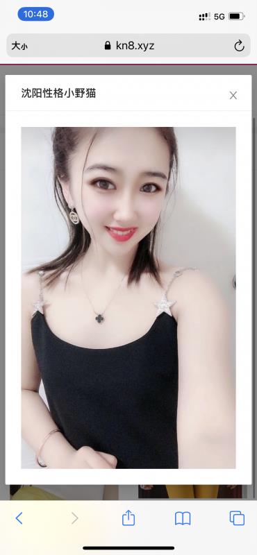 沈阳小野猫不爽记 第1张