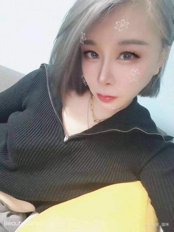 静安小猫咪 第2张