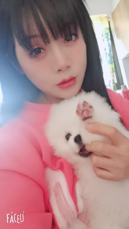 秦淮如意 第1张