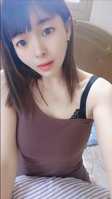 欣逸家园小猫 第1张