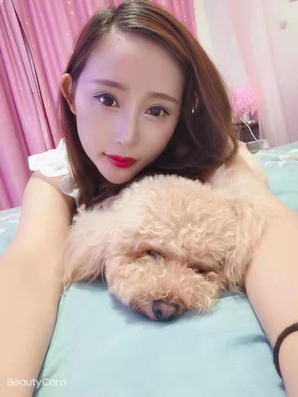 宠物店小辣妹 第1张