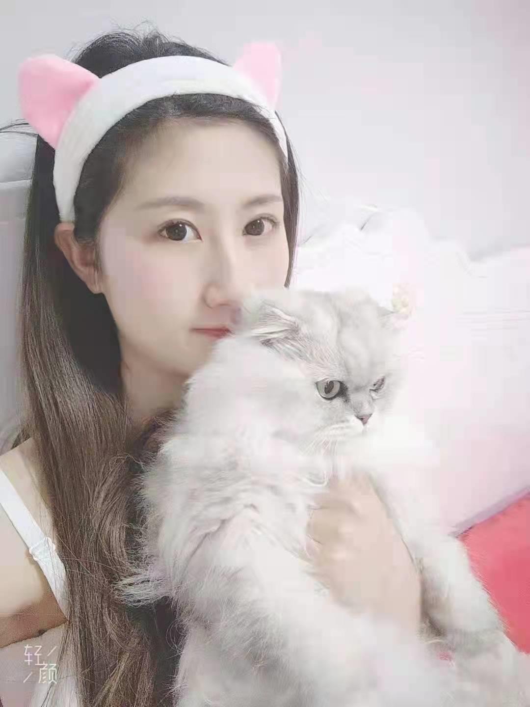春天 第1张