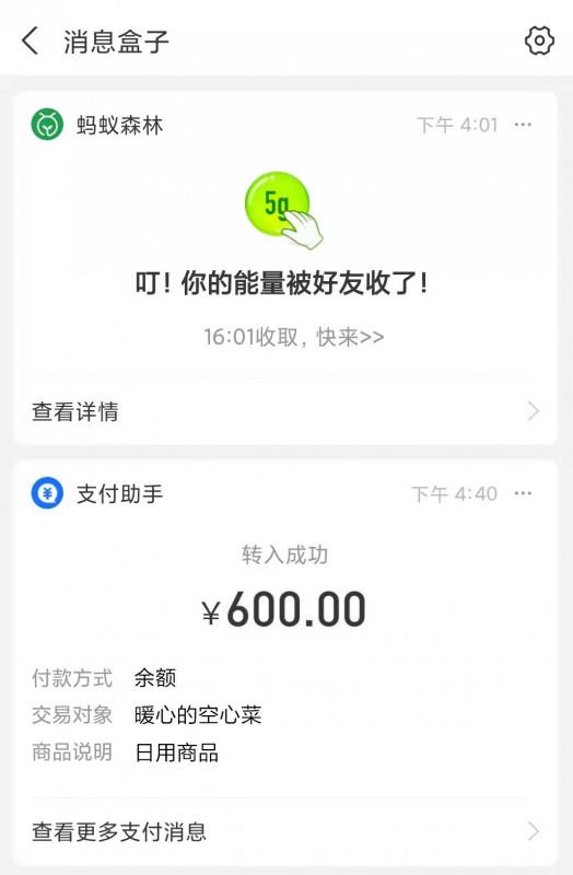番禺御姐空心菜 第4张