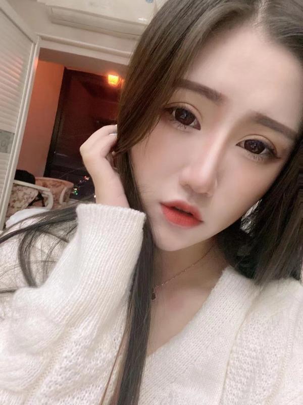 厦门猫猫 第1张